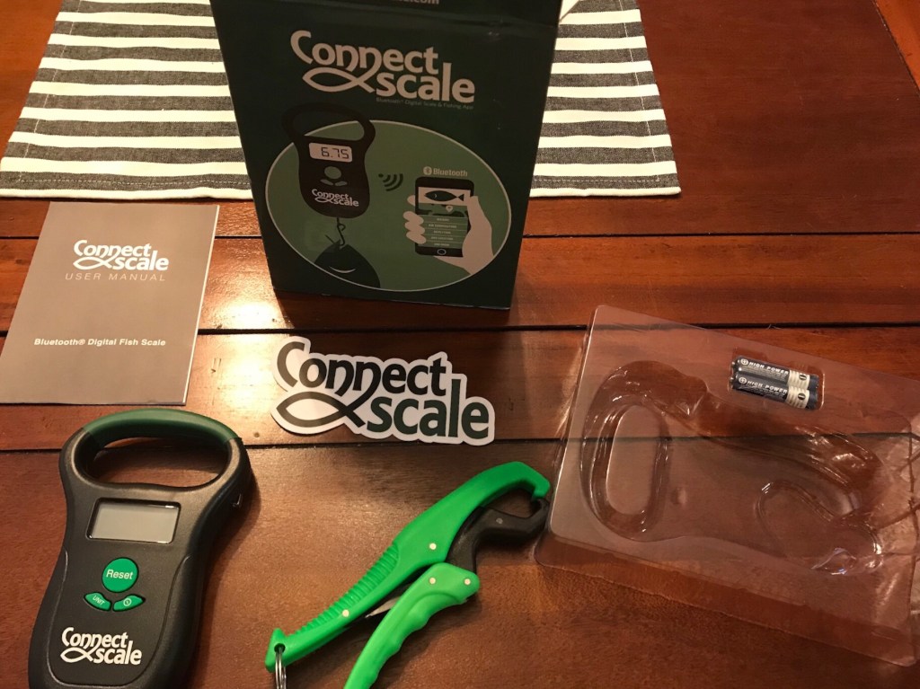 Connect Scale….email???